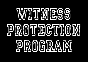 witness.gif (16465 bytes)